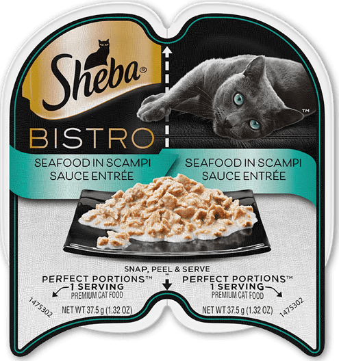 Sheba Bistro Seafood In Scampi Sauce Entrée